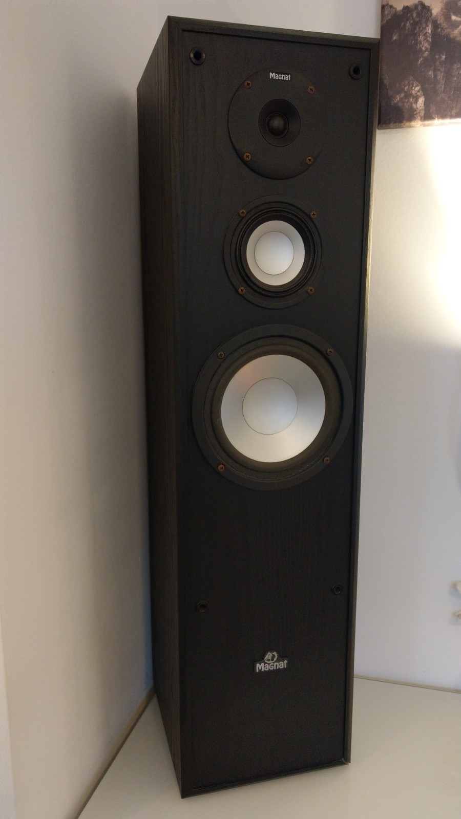 magnat speakers any good